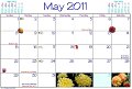 11 May Dates